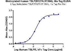 ELISA image for Thymic Stromal Lymphopoietin (TSLP) (Arg127Ala-Mutant), (Arg130Ala-Mutant) protein (His-Avi Tag,Biotin) (ABIN7275808)