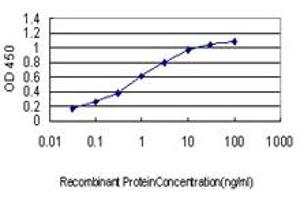 ELISA image for anti-YY1 Transcription Factor (YY1) (AA 221-320) antibody (ABIN563397)