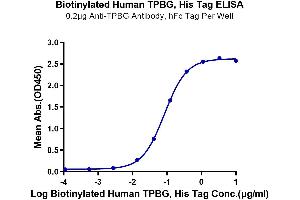 ELISA image for Trophoblast Glycoprotein (TPBG) (AA 32-355) protein (His-Avi Tag,Biotin) (ABIN7273785)