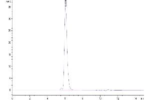 Size-exclusion chromatography-High Pressure Liquid Chromatography (SEC-HPLC) image for Mesothelin (MSLN) protein (Fc-Avi Tag,Biotin) (ABIN7275288)