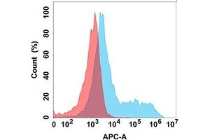 Flow cytometry analysis with Anti-CD114 (DM172) on Expi293 cells transfected with human CD114 (Blue histogram) or Expi293 transfected with irrelevant protein (Red histogram). (CSF3R Antikörper  (AA 25-622))