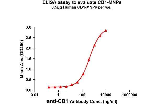 CNR1 Protein