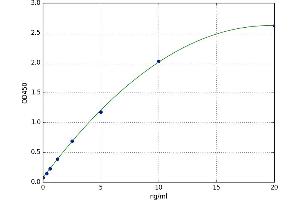 Ketohexokinase ELISA Kit