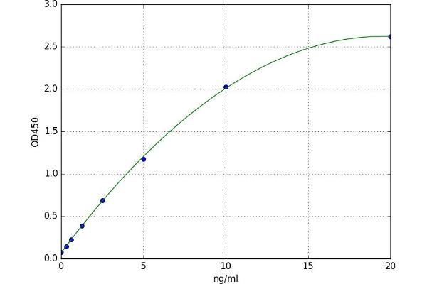 Ketohexokinase ELISA Kit