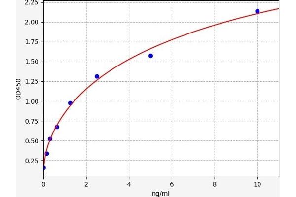 FPB ELISA Kit