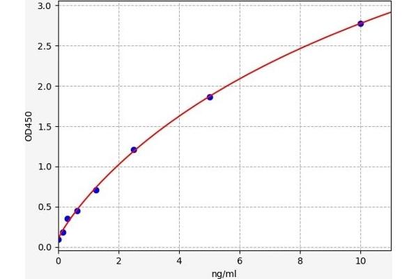 PKD1 ELISA Kit