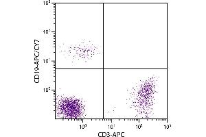 Human peripheral blood lymphocytes were stained with Mouse Anti-Human CD19-APC/CY7. (CD19 Antikörper  (APC-Cy7))