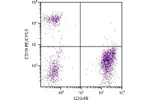 Human peripheral blood lymphocytes were stained with Mouse Anti-Human CD19-PE/CY5. (CD19 Antikörper  (PE-Cy5.5))