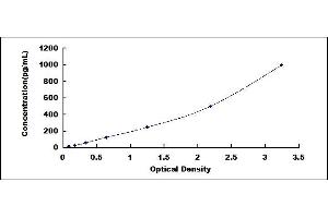 VNN1 ELISA Kit