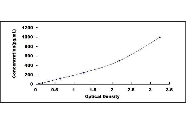 VNN1 ELISA Kit