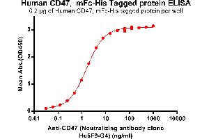ELISA plate pre-coated by 2 μg/mL (100 μL/well) Human CD47, mFc-His tagged protein ABIN6961081, ABIN7042191 and ABIN7042192 can bind Anti-CD47 (Neutralizing antibody clone Hu5F9-G4) in a linear range of 0. (Rekombinanter CD47 (Magrolimab Biosimilar) Antikörper)