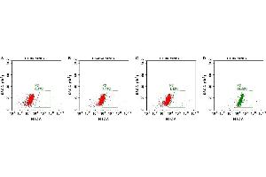 FACS analysis of MNPs A. (CCR8 Protein)