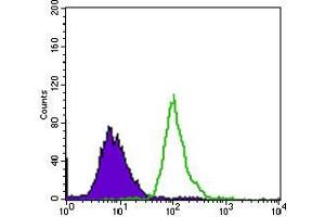 Flow Cytometry (FACS) image for anti-EGFR Mutant (AA 693-893) antibody (ABIN1724824)