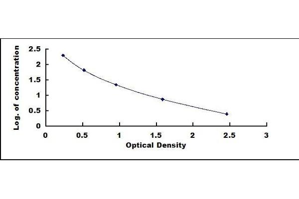 Prolactin ELISA Kit