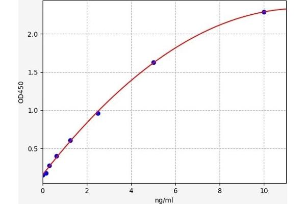 GDF10 ELISA Kit