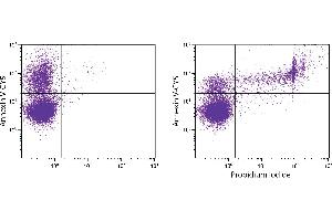 Flow Cytometry (FACS) image for Annexin V-UNLB (ABIN5706947)