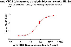 ELISA plate pre-coated by 2 μg/mL (100 μL/well) Human CD22, hFc-His tagged protein (ABIN6961078, ABIN7042185 and ABIN7042186) can bind Anti-CD22 Neutralizing antibody in a linear range of 3. (Rekombinanter CD22 (Pinatuzumab Biosimilar) Antikörper)