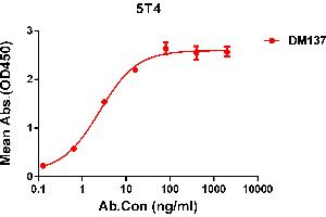 ELISA plate pre-coated by 1 μg/mL (100 μL/well) Human 5T4 protein, His tagged protein ABIN6964086, ABIN7042427 and ABIN7042428 can bind Rabbit anti-5T4 monoclonal antibody (clone: DM137) in a linear range of 0. (TPBG Antikörper  (AA 32-355))