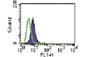 Image no. 1 for anti-Toll-Like Receptor 6 (TLR6) (AA 408-424) antibody (ABIN208047) (TLR6 Antikörper  (AA 408-424))