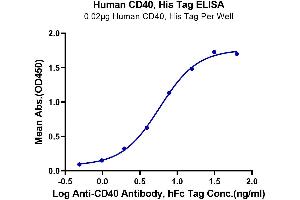 ELISA image for CD40 (CD40) (AA 21-193) protein (His tag) (ABIN7274177)