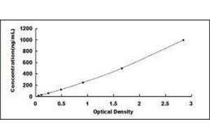 ELISA image for Ischemia Modified Albumin (IMA) ELISA Kit (ABIN414688) (Ischemia Modified Albumin ELISA Kit)