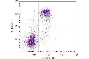 BALB/c mouse splenocytes were stained with Rat  Anti-Mouse CD90-PE. (CD90 Antikörper)