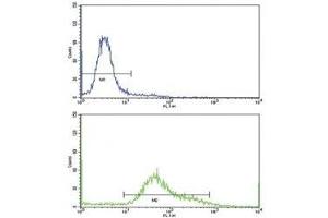 Flow cytometric analysis of HeLa cells using CD71 antibody (bottom histogram) compared to a negative control (top histogram). (Transferrin Receptor Antikörper  (AA 649-677))