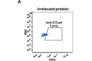 Expi 293 cell line transfected with irrelevant protein  (A) and human C  (B) were surface stained with Rabbit anti-C monoclonal antibody 1 μg/mL (clone: DM50) followed by Alexa 488-conjugated anti-rabbit IgG secondary antibody. (Rekombinanter CTLA4 Antikörper  (AA 36-161))