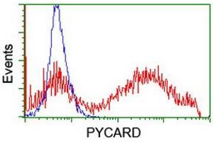 Image no. 2 for anti-PYD and CARD Domain Containing (PYCARD) antibody (ABIN1500519) (PYCARD Antikörper)