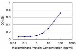 Detection limit for recombinant GST tagged RHOA is approximately 3ng/ml as a capture antibody. (RHOA Antikörper  (AA 1-193))