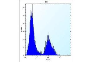 Flow Cytometry (FACS) image for anti-Claudin 2 (CLDN2) antibody (ABIN2996860) (Claudin 2 Antikörper)