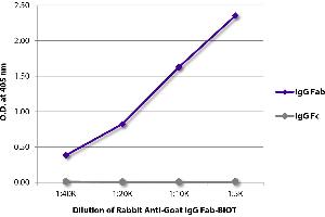 ELISA image for Rabbit anti-Goat IgG (Fab Region) antibody (Biotin) (ABIN5707476)