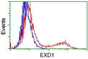 HEK293T cells transfected with either RC206223 overexpress plasmid (Red) or empty vector control plasmid (Blue) were immunostained by anti-EXD1 antibody (ABIN2454018), and then analyzed by flow cytometry. (EXD1 Antikörper)