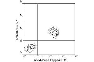 Flow Cytometry (FACS) image for Rat anti-Mouse Ig (Chain kappa), (Light Chain) antibody (FITC) (ABIN356162) (Ratte anti-Maus Ig (Chain kappa), (Light Chain) Antikörper (FITC))