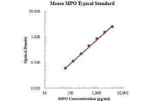 ELISA image for Myeloperoxidase (MPO) ELISA Kit (ABIN3198471) (Myeloperoxidase ELISA Kit)