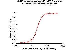 Elisa plates were pre-coated with Flag Tag P-Nanodisc (0. (CD133 Protein)