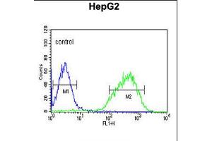 Flow cytometric analysis of HepG2 cells (right histogram) compared to a negative control cell (left histogram). (HIST1H2AL Antikörper  (C-Term))