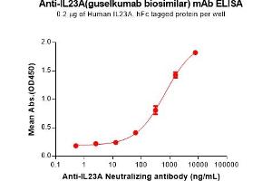 ELISA image for anti-IL23A (Guselkumab Biosimilar) (Glu239Asp-Mutant), (Met241Leu-Mutant) antibody (ABIN7538767)