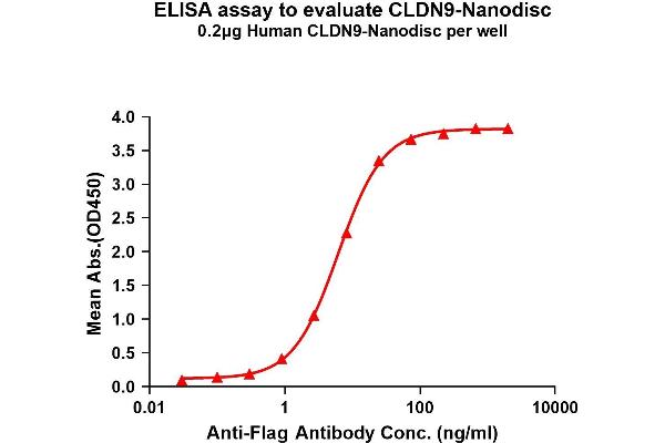 Claudin 9 Protein (CLDN9)