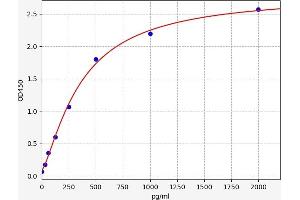 BDH1 ELISA Kit