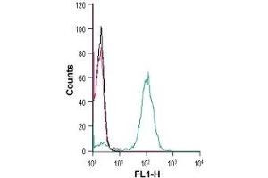 Cell surface detection of CX3CR1 in human THP-1 monocytic leukemia cells:(black line) Cells. (CX3CR1 Antikörper  (Extracellular, N-Term))