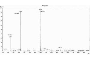 Image no. 1 for Neuropeptide S (NPS) peptide (Ovalbumin) (ABIN5666298) (Neuropeptide S (NPS) peptide (Ovalbumin))