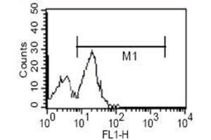 FC analysis of human PBMC using CD14 antibody. (CD14 Antikörper)