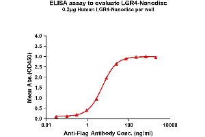Elisa plates were pre-coated with Flag Tag -Nanodisc (0. (LGR4 Protein)