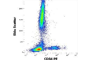 Flow cytometry surface staining pattern of human peripheral whole blood stained using anti-human CD56 (LT56) PE antibody (10 μL reagent / 100 μL of peripheral whole blood). (CD56 Antikörper  (PE))