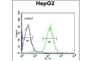 PLTP Antibody (C-term) (ABIN391914 and ABIN2841725) flow cytometric analysis of HepG2 cells (right histogram) compared to a negative control cell (left histogram). (PLTP Antikörper  (C-Term))