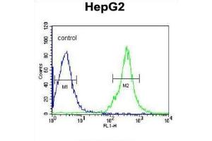 Flow Cytometry (FACS) image for anti-Fibrinogen gamma Chain (FGG) antibody (ABIN3003142) (FGG Antikörper)