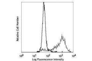 Flow Cytometry (FACS) image for anti-Angiotensin I Converting Enzyme (Peptidyl-Dipeptidase A) 1 (ACE) antibody (PE) (ABIN2663035) (Angiotensin I Converting Enzyme 1 Antikörper  (PE))