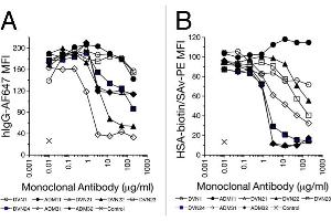 Flow Cytometry (FACS) image for anti-neonatal Fc Receptor (FcRn) antibody (ABIN1774763)