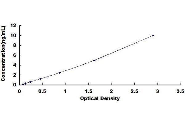 LDHB ELISA Kit